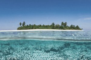 Riding the Debt Financing Wave